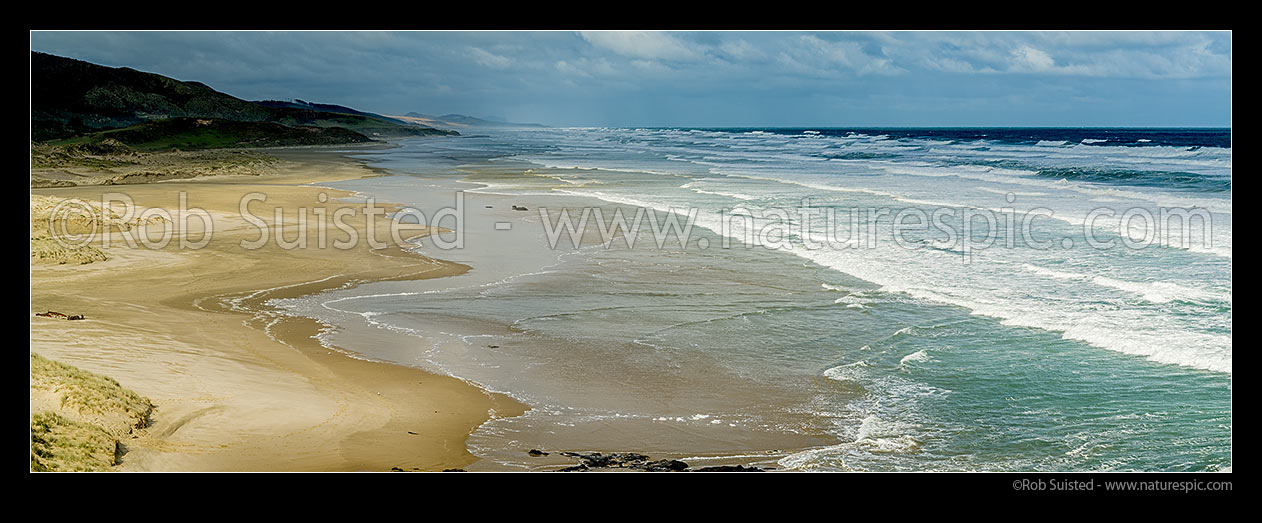 Image of Mitimiti Beach, on the wild west coast, with stormy seas breaking onto the wide open golden sands. Panorama, Mitimiti, Far North District, Northland Region, New Zealand (NZ) stock photo image