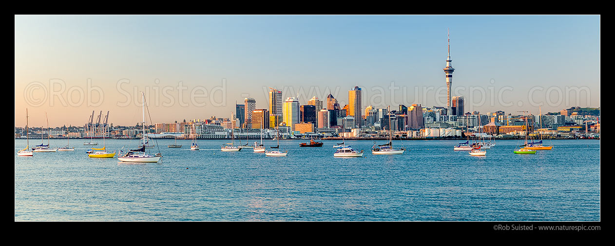 Image of Auckland City at sunrise. Panorama of Sky Tower, CBD and waterfront, with moored sailboats on the Waitemata harbour, Auckland, Auckland City District, Auckland Region, New Zealand (NZ) stock photo image