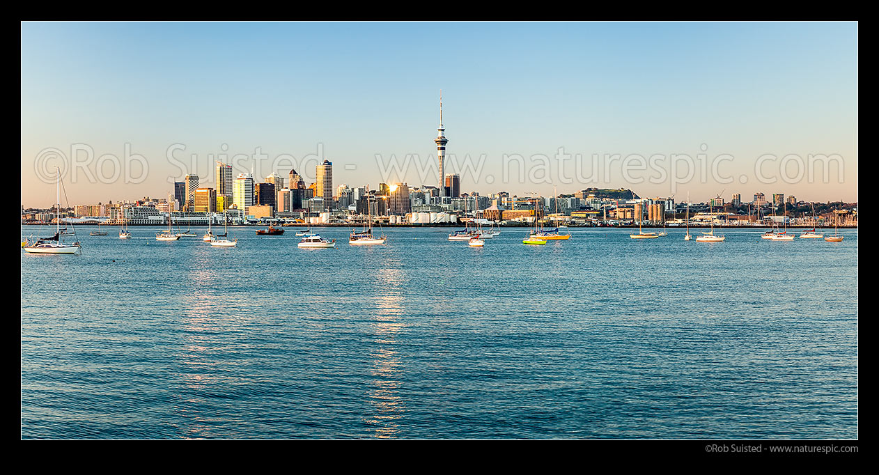 Image of Auckland City at sunrise. Sky Tower, CBD and waterfront, with moored sailboats on the Waitemata harbour. Panorama as golden sunlight highlights buildings, Auckland, Auckland City District, Auckland Region, New Zealand (NZ) stock photo image