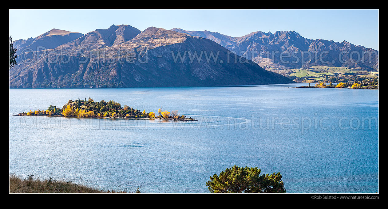 Image of Lake Wanaka during autumn. Ruby Island in front of The Peninsula, and Mt Gold (1304m). Beacon Point right. Autumn colour panorama, Wanaka, Queenstown Lakes District, Otago Region, New Zealand (NZ) stock photo image