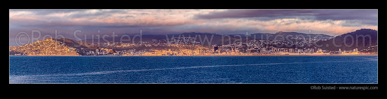 Image of Wellington City panorama seen from Petone, across Wellington Harbour with long lens. Mount Victoria and Oriental Bay at left, CBD and Port at right, Wellington, Wellington City District, Wellington Region, New Zealand (NZ) stock photo image