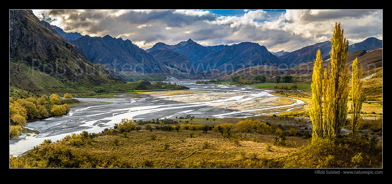 Image of Shotover River passing The Branches Station flats. Braided river flats and autumn coloured poplar trees. Panorama, Branches Station, Shotover Valley, Queenstown Lakes District, Otago Region, New Zealand (NZ) stock photo image