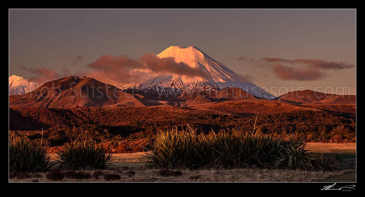 Image of Mt Ngauruhoe (2287m), a volcano in Tongariro National Park, at dusk. Mount Tongariro far left and Pukekaikiore (1692m) at left. Panorama view from Whakapapa Village, Tongariro National Park, Ruapehu District, Manawatu-Wanganui Region, New Zealand (NZ) stock photo image