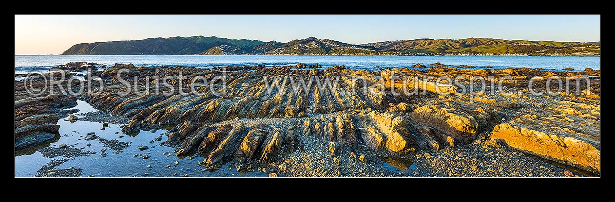 Image of Porirua Harbour entrance and Plimmerton seen from Onehunga Bay Whitireia Park. Rocky foreshore eroded wave platform showing tilted rock strata. Panorama, Titahi Bay, Porirua City District, Wellington Region, New Zealand (NZ) stock photo image