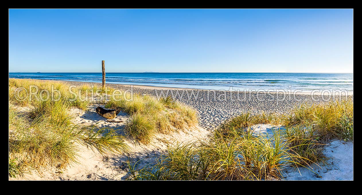 Image of Papamoa Beach and sand dunes in bright sunny morning light. Panorama, Papamoa Beach, Tauranga District, Bay of Plenty Region, New Zealand (NZ) stock photo image