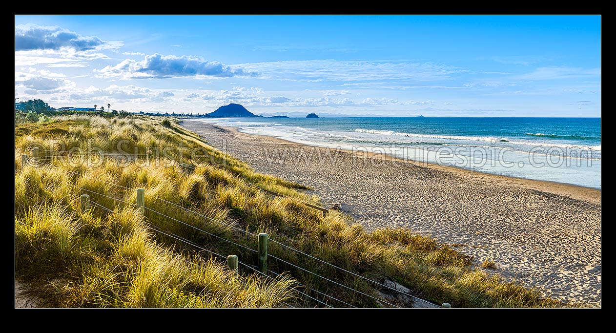 Image of Papamoa Beach and golden sand dune view in late afternoon light. Looking west towards Mt Maunganui Mauao (231m). Panorama, Papamoa Beach, Tauranga District, Bay of Plenty Region, New Zealand (NZ) stock photo image