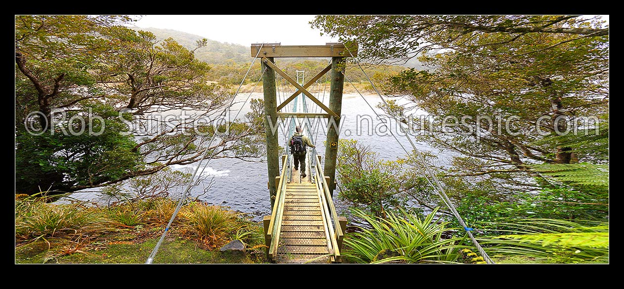 Image of Tramper crossing suspension bridge at Maori Beach on the Rakiura Track Great Walk, in Wooding Bay. Rakiura National Park. Panorama, Port William, Potirepo, Stewart Island District, Southland Region, New Zealand (NZ) stock photo image