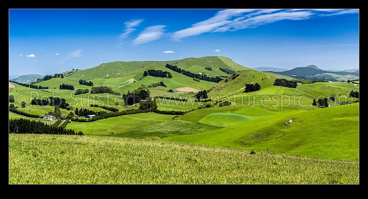 Image of Rural lush farmland panorama near Goodwood with rolling hills and paddocks. Mt Royal (319m) centre, Palmerston, Waitaki District, Canterbury Region, New Zealand (NZ) stock photo image